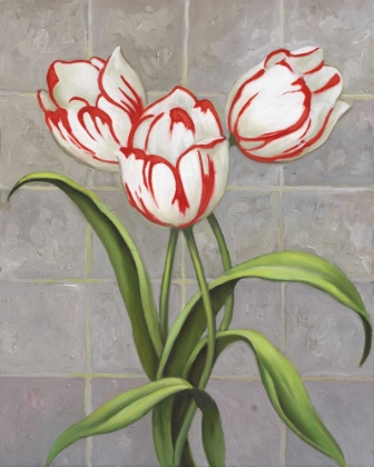 Picture of RED-STRIPED TULIPS