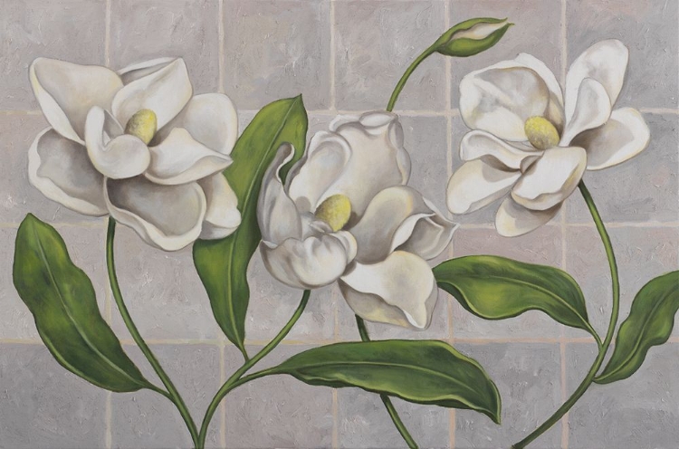 Picture of WHITE MAGNOLIA