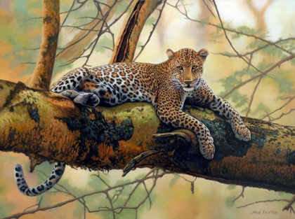 Picture of AFRICAN LEOPARD
