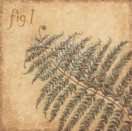 Picture of FERN FIGURATIVE