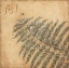 Picture of FERN FIGURATIVE