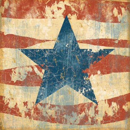 Picture of OLD GLORY I