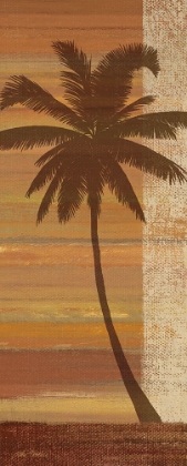 Picture of TROPICAL SUNSET II