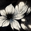 Picture of B001 FLOWERS BLACK WHITE
