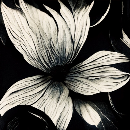 Picture of B010 FLOWERS BLACK WHITE