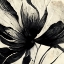 Picture of B016 FLOWERS BLACK WHITE