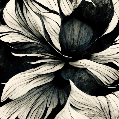 Picture of B034 FLOWERS BLACK WHITE
