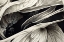 Picture of B039 FLOWERS BLACK WHITE
