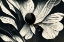 Picture of B060 FLOWERS BLACK WHITE