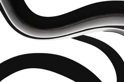 Picture of BLACK WHITE BOLD STROKES 10