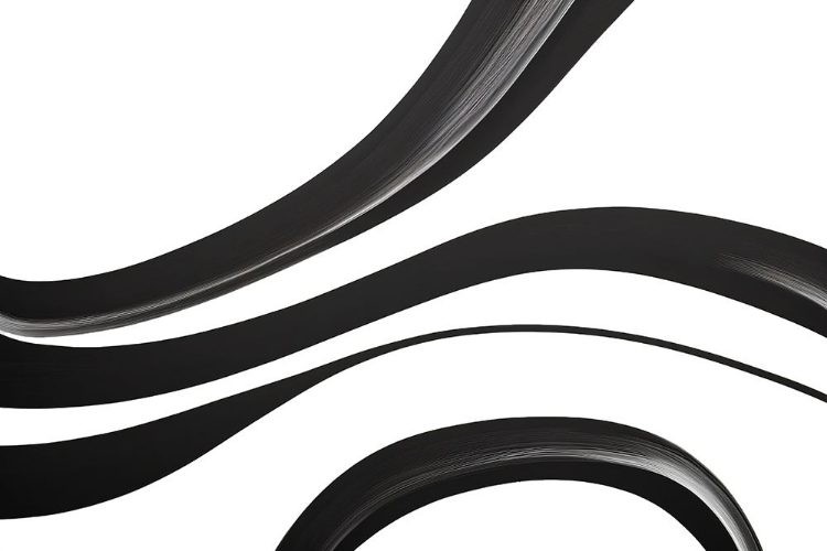 Picture of BLACK WHITE BOLD STROKES 15