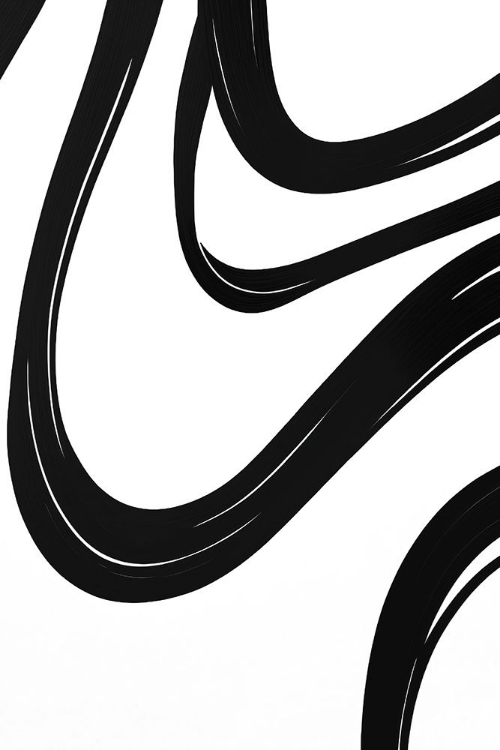 Picture of BLACK WHITE BOLD STROKES 18