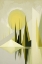 Picture of MID CENTURY NATURE GREEN 16
