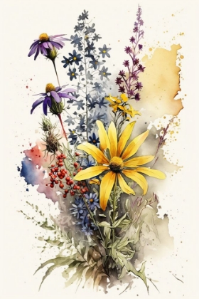 Picture of WATERCOLOR WILDFLOWERS 20