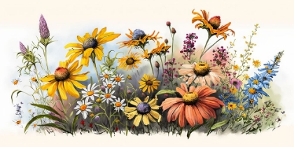 Picture of WATERCOLOR WILDFLOWERS 25