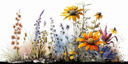 Picture of WATERCOLOR WILDFLOWERS 28