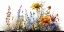 Picture of WATERCOLOR WILDFLOWERS 28
