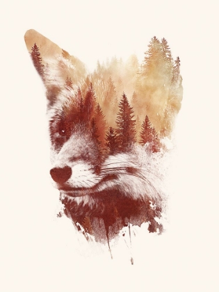 Picture of BLIND FOX