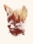 Picture of BLIND FOX