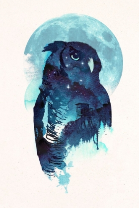 Picture of MIDNIGHT OWL
