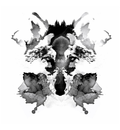 Picture of RORSCHACH