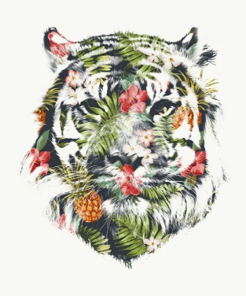Picture of TROPICAL TIGER