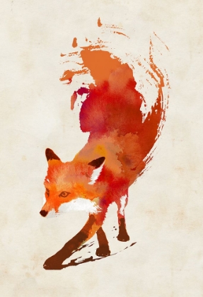 Picture of VULPES VULPES