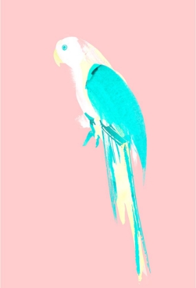 Picture of SUMMER PARROT