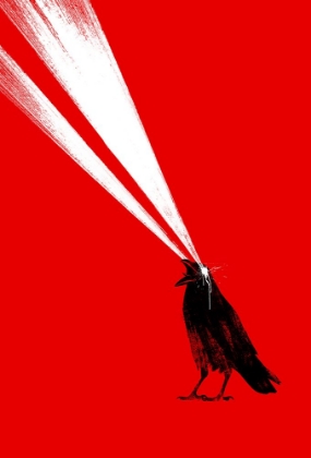 Picture of LASER CROW