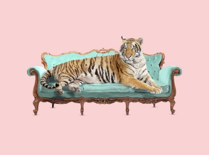 Picture of LAZY TIGER