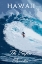 Picture of HAWAII SURFER POSTER