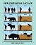 Picture of SOCIAL DISTANCE WILDLIFE SAFETY POSTER