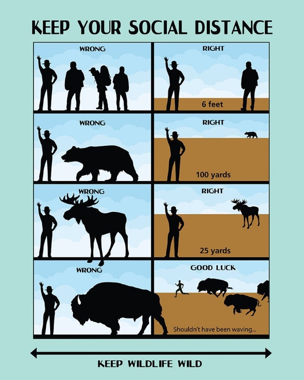 Picture of SOCIAL DISTANCE WILDLIFE SAFETY POSTER