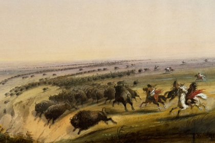 Picture of HUNTING BUFFALO