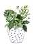Picture of IN THE POT I