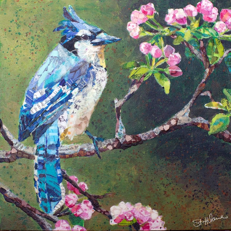 Picture of BLUE JAY ON APPLE BLOSSOMS