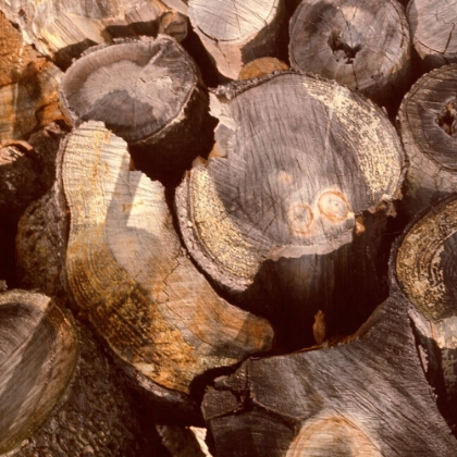 Picture of WOOD PILE