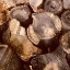 Picture of WOOD PILE