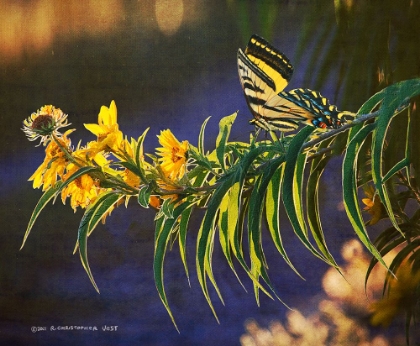 Picture of YELLOW FLOWERS BUTTERFLY