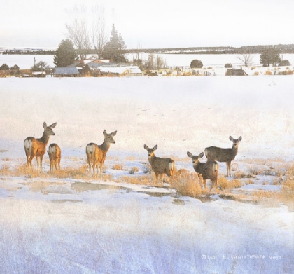 Picture of DEER ABOVE FARM