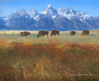 Picture of MEADOW GRASS GRAND TETON