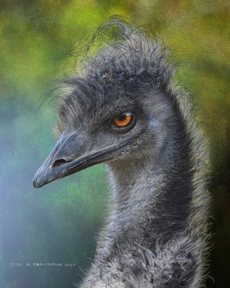 Picture of EMU PORTRAIT, DR. SUESS BIRD