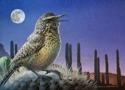 Picture of SAGUARO CACTUS WREN BY MOONLIGHT