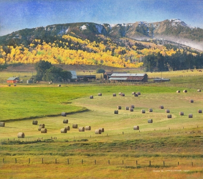 Picture of CHERRY CREEK HAYBALES