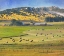 Picture of CHERRY CREEK HAYBALES