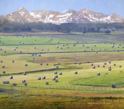 Picture of CHERY CREEK HAYBALES