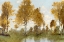Picture of GOLDEN TREE POND I