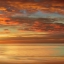 Picture of SUNLIT II