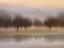 Picture of EARLY MORNING I