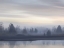 Picture of FIRST LIGHT III